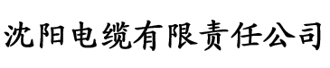 荣誉守则满天星免费观看电缆厂logo